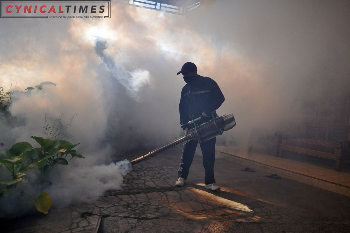 Dengue Fever Cases Surge in Italy