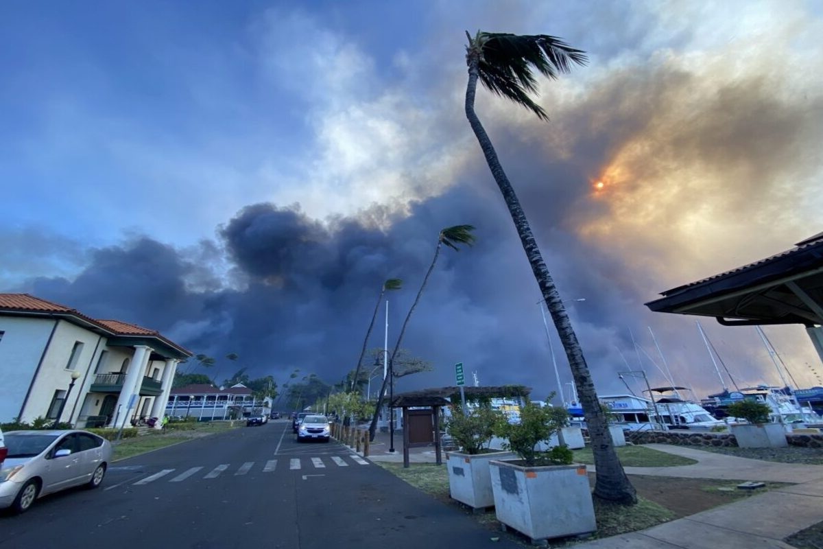 Maui Wildfires Tragedy