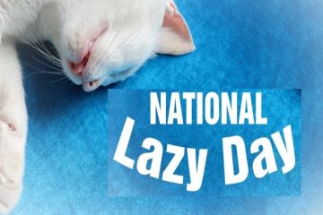 National Lazy Day 2023