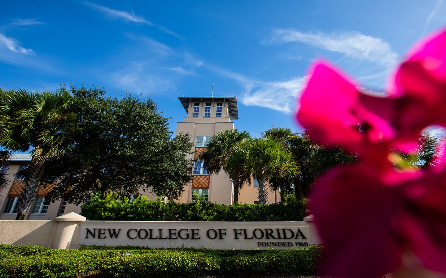 New College of Florida's Controversial Move The Decision to Drop Gender Studies Program