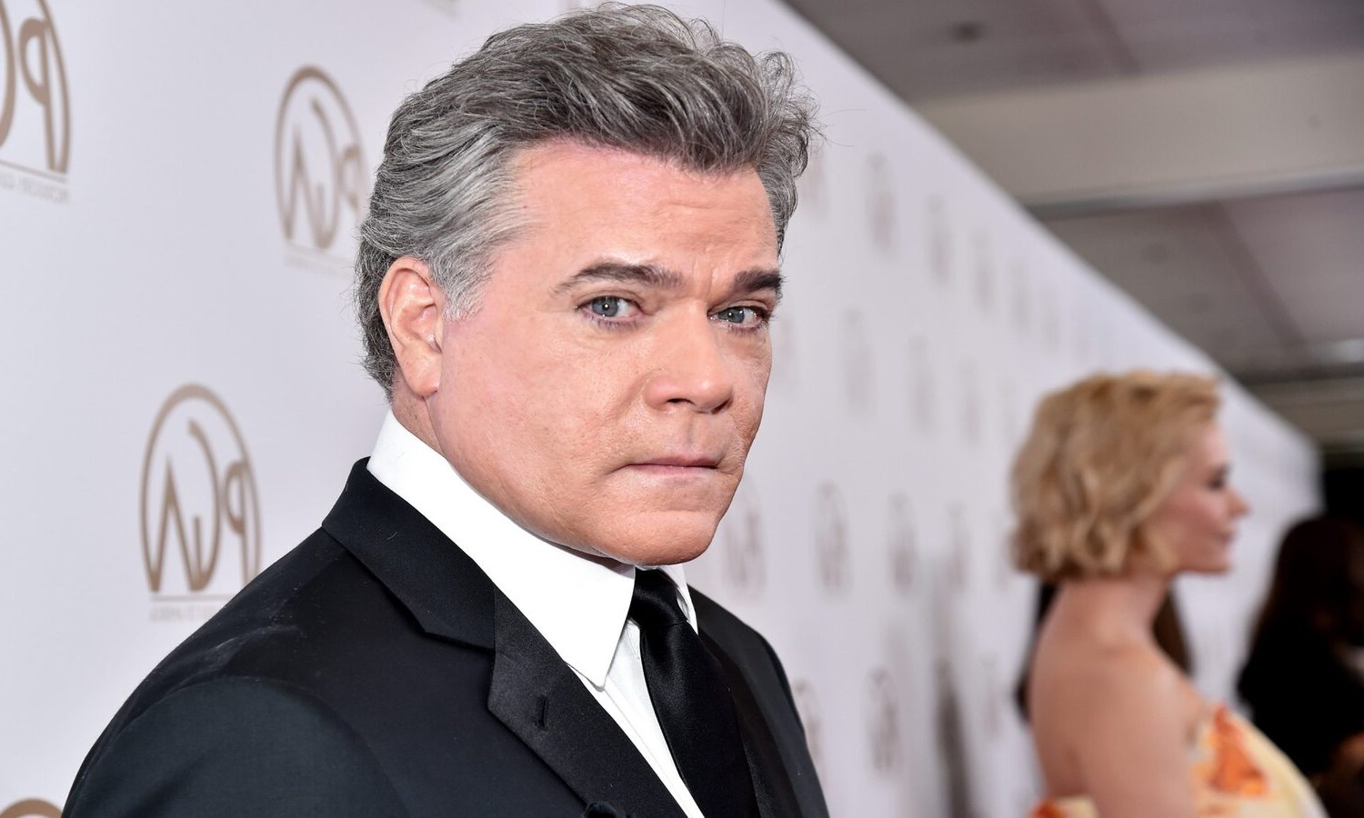 Ray Liotta career Regrets and Rejections The Role He Turned Down in Batman and the Paths Untaken