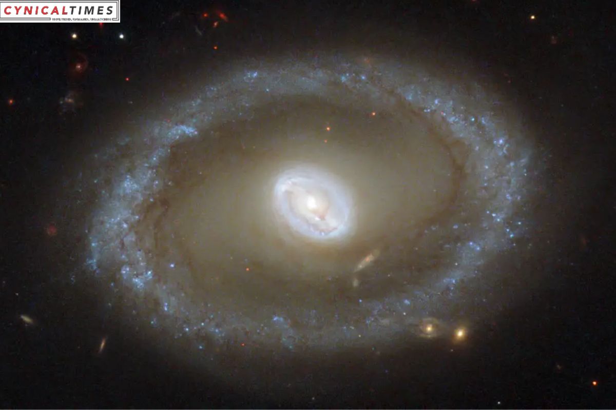 Polar Ring Galaxies Unveiled