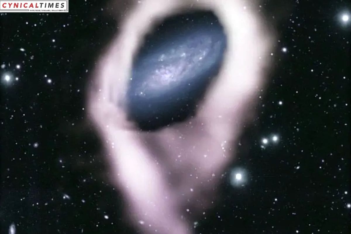 Polar Ring Galaxies Unveiled