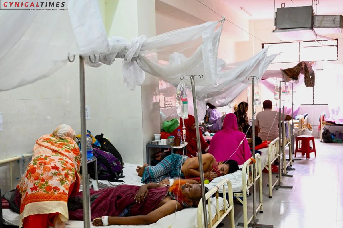 Dengue Outbreak in Bangladesh