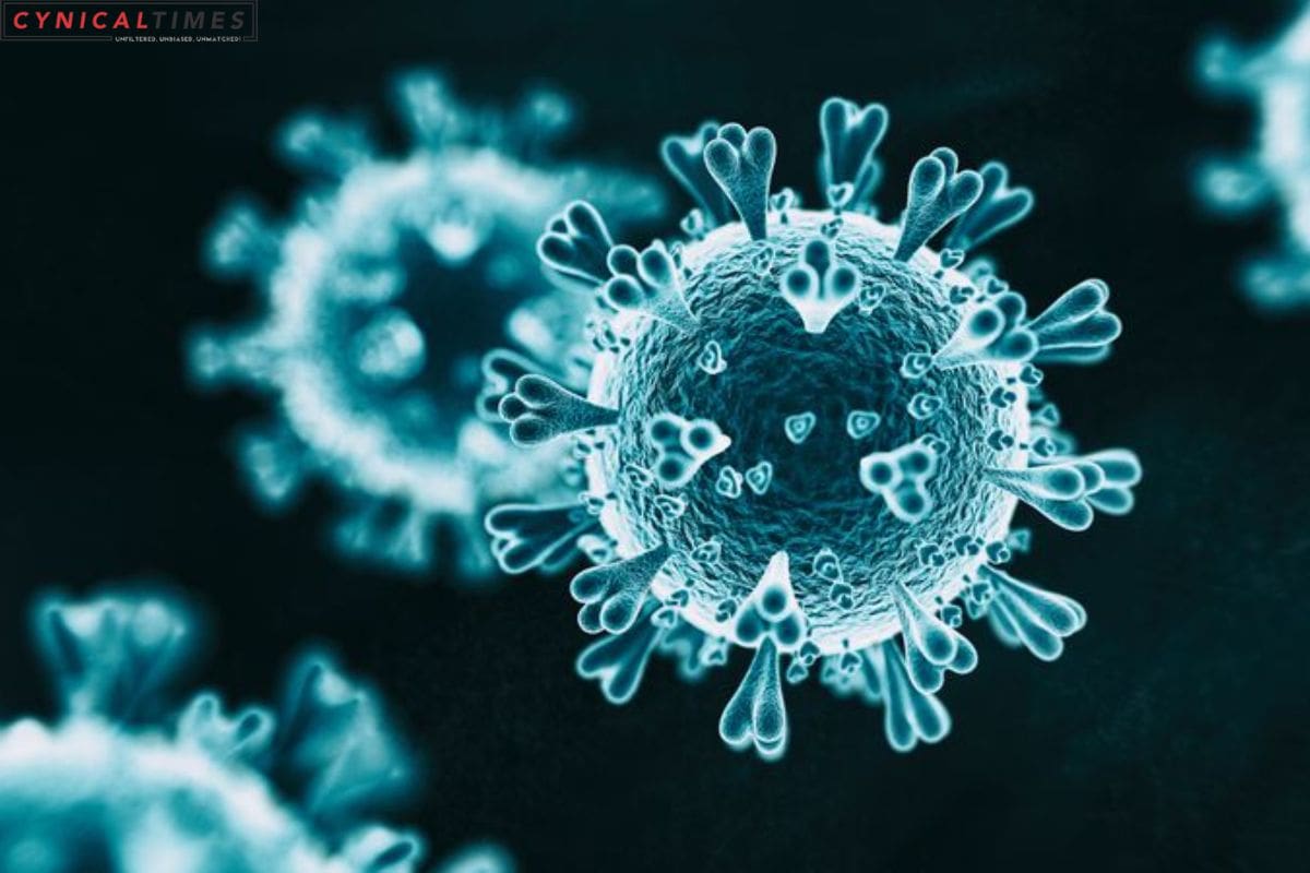 Rise in Animal to Human Viral Infections