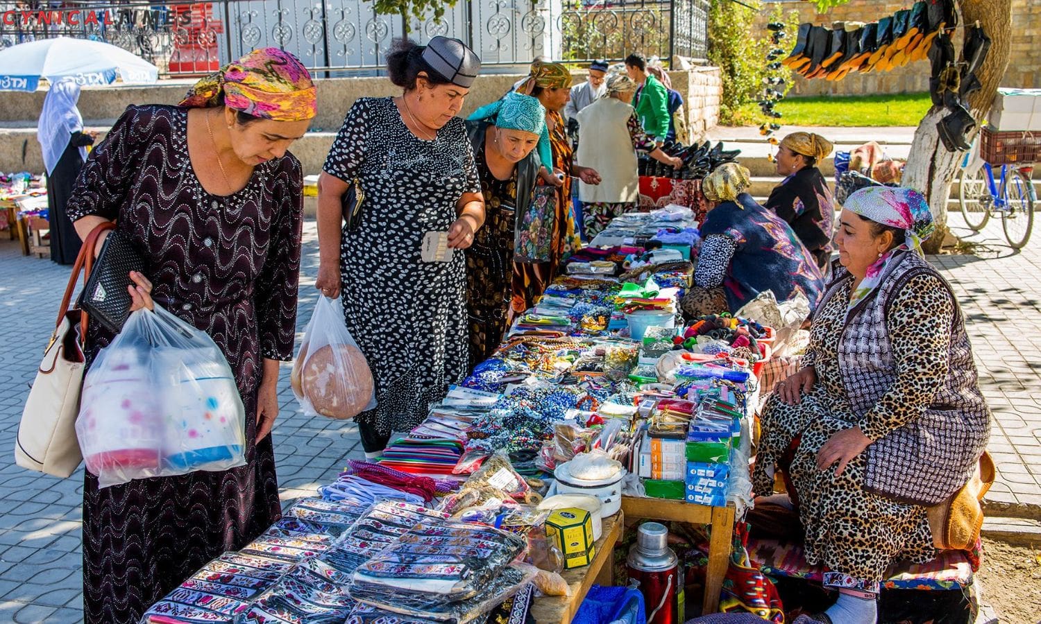 Samarkand Unveiling Millennia of Marvels