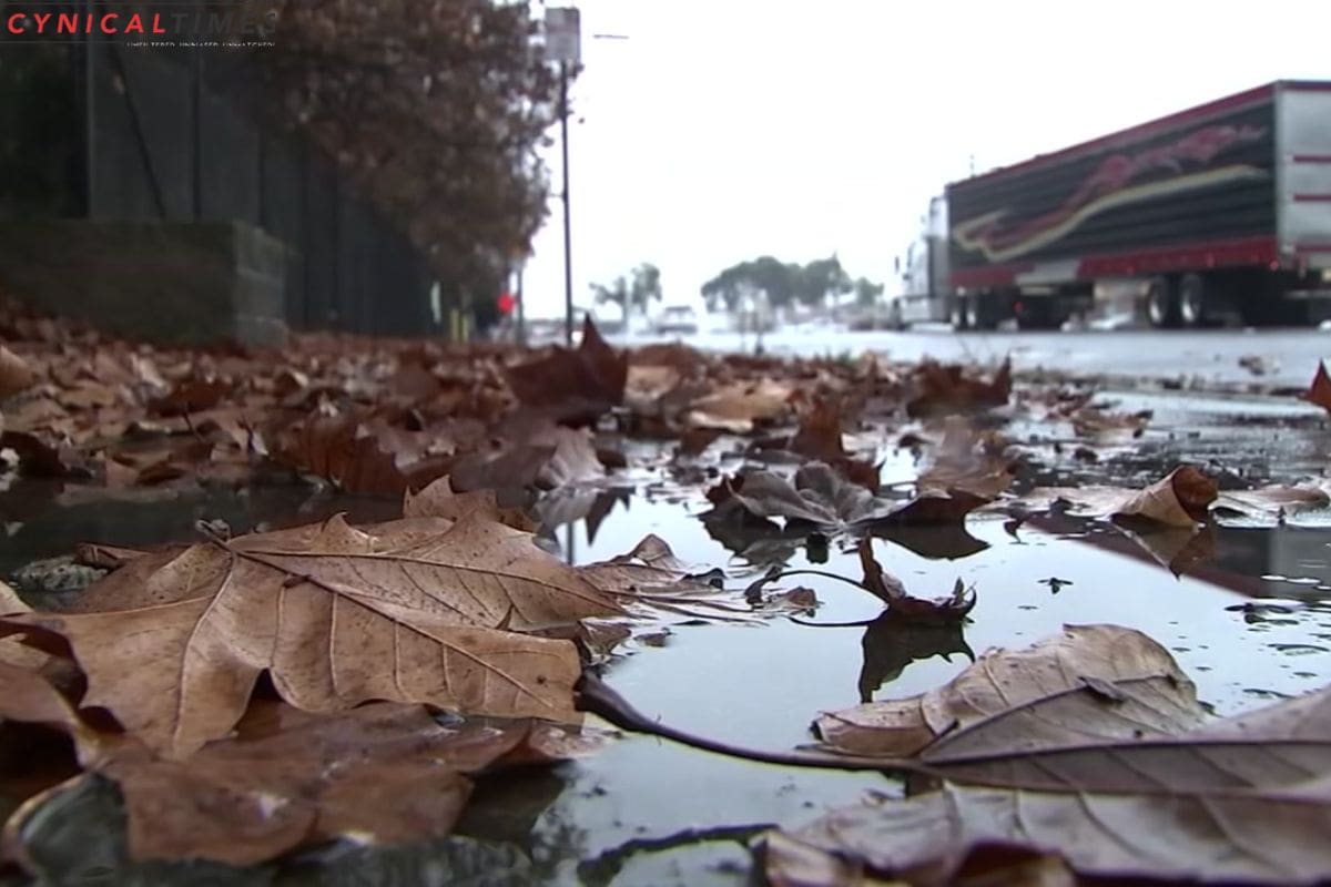 San Jose Gears Up for Winter Showers