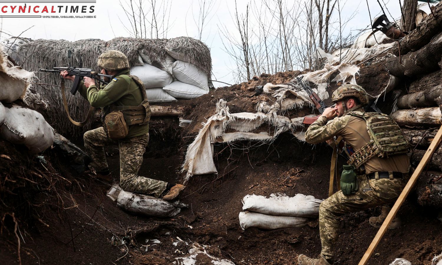 Ukraine Ingenious Defense