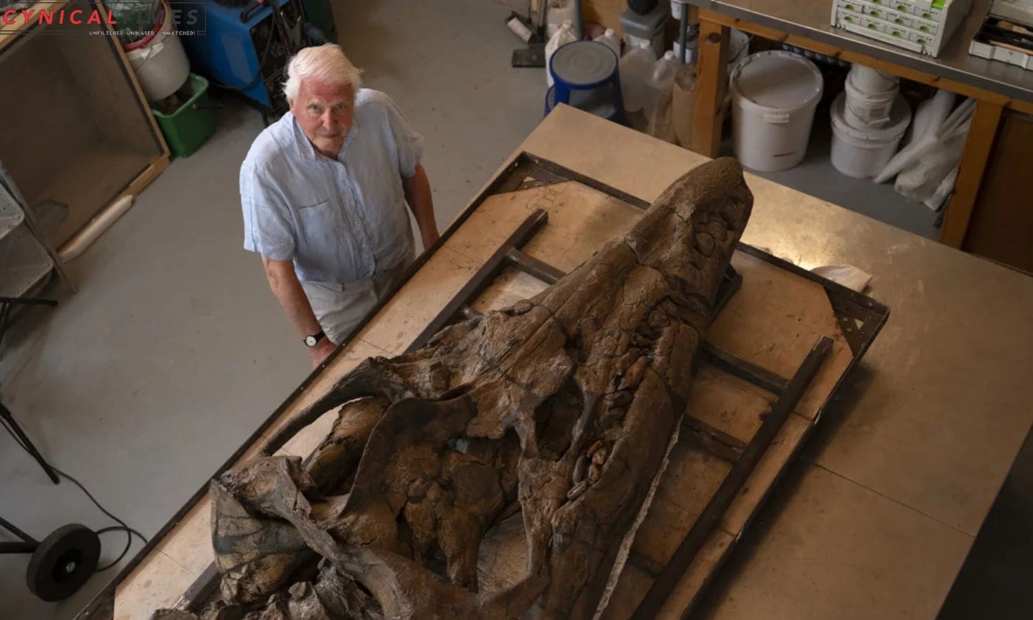 Ancient Sea Monster Unearthed