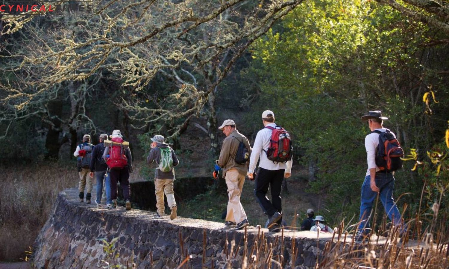 California State Parks Boost Local Recreation