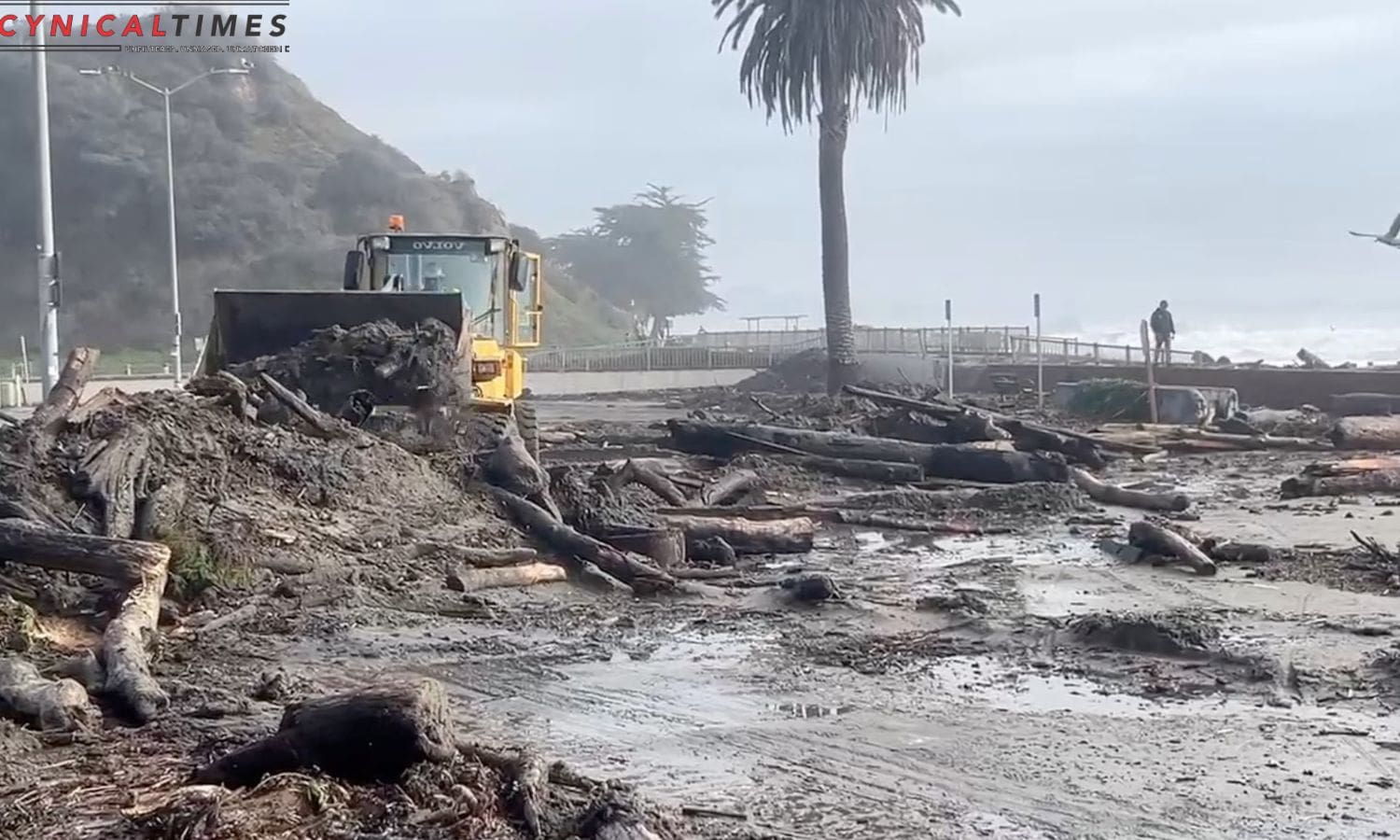 Coastal Crisis California Residents Hospitalized