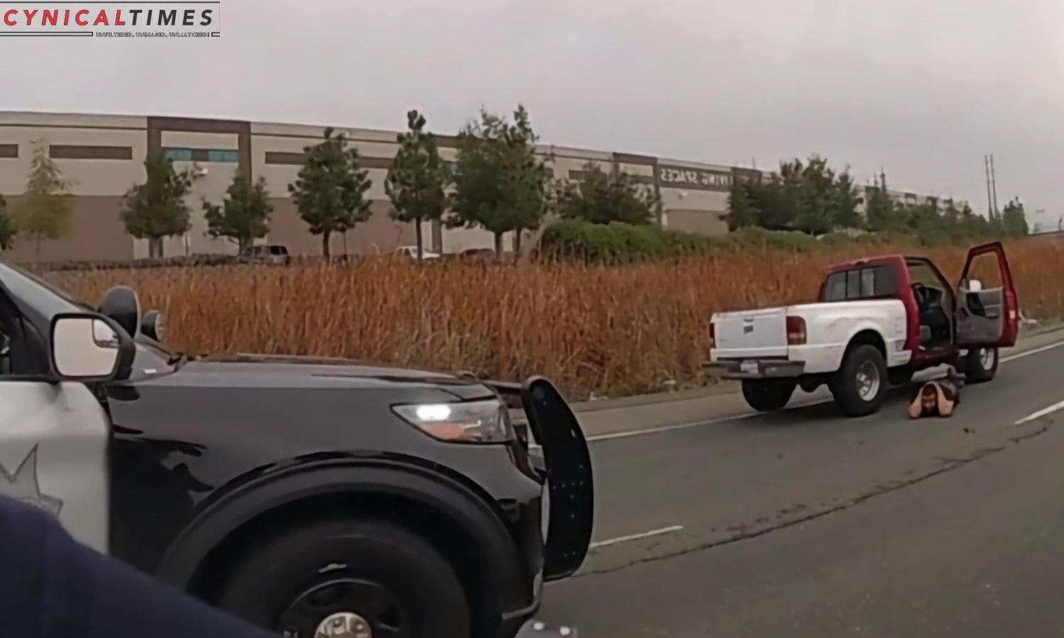 Milpitas Police Department Swift Action