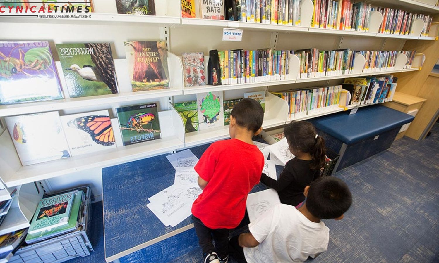 Mobile Library at Work