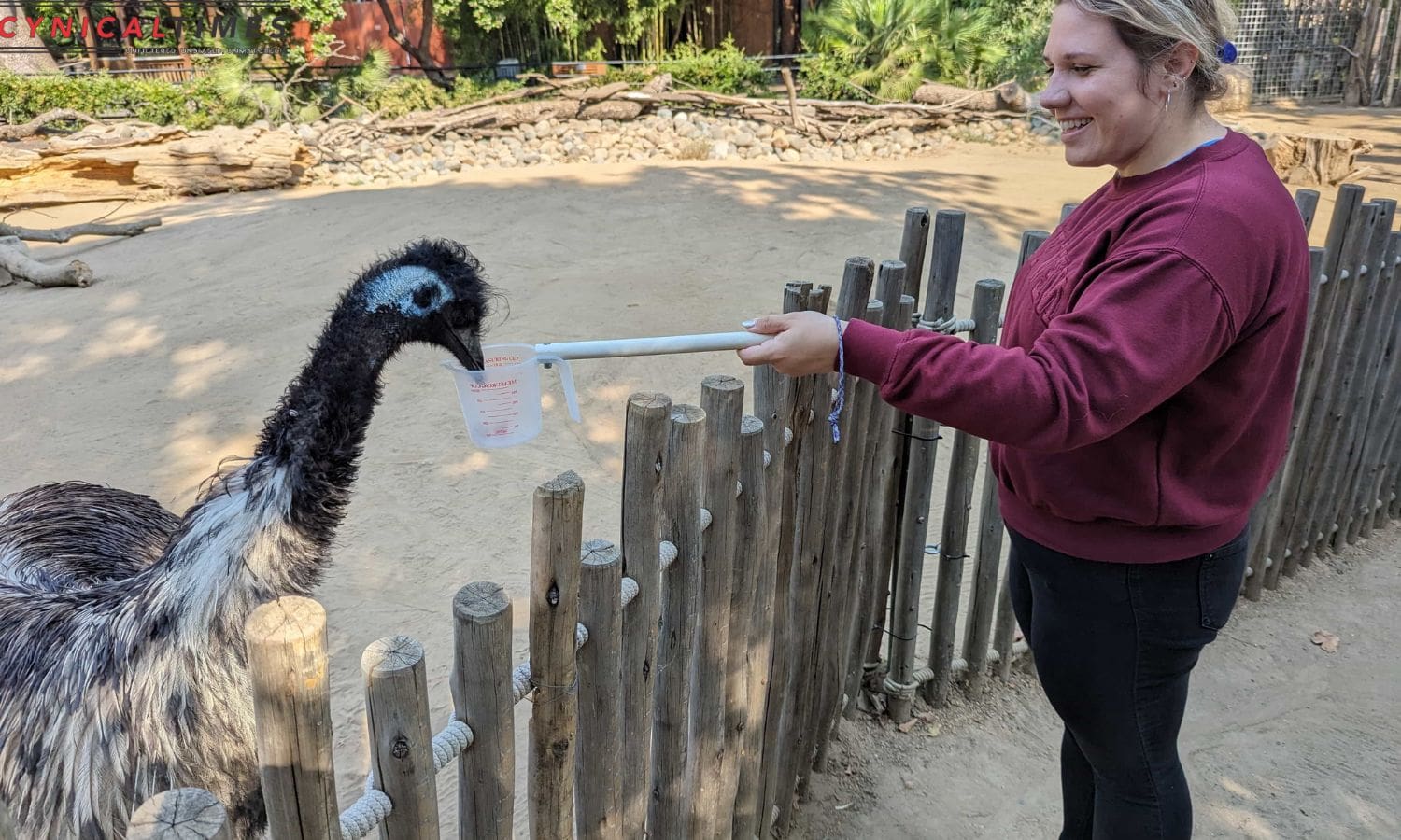 Sacramento Zoo