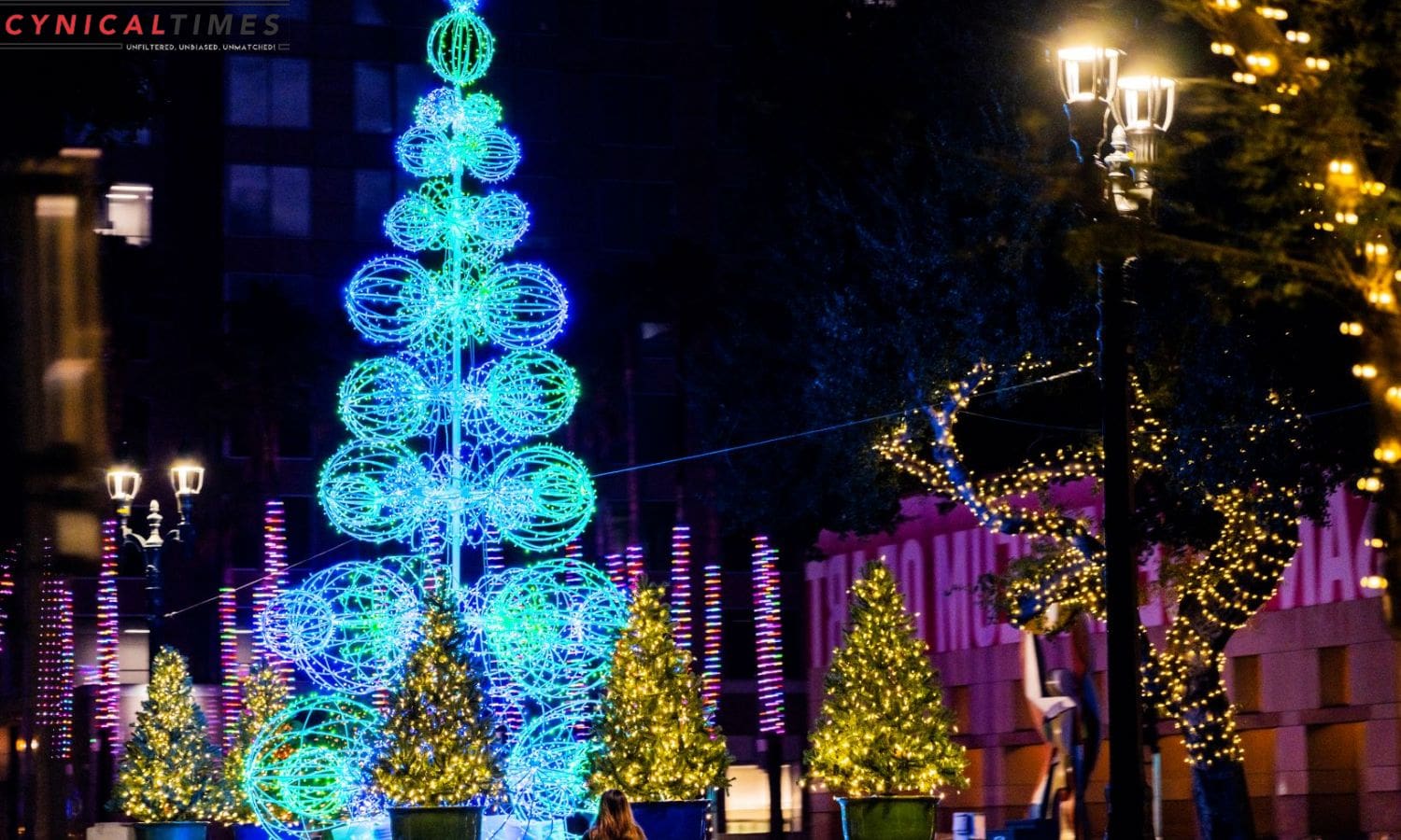 San Jose Best Christmas Light Displays