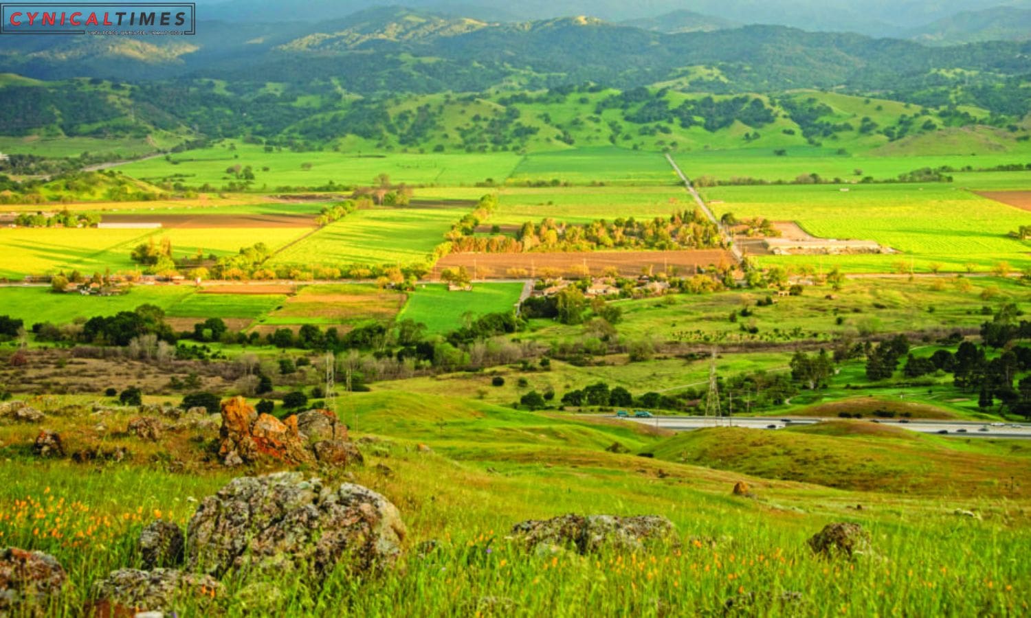 San Jose Cemetery Project in Coyote Valley