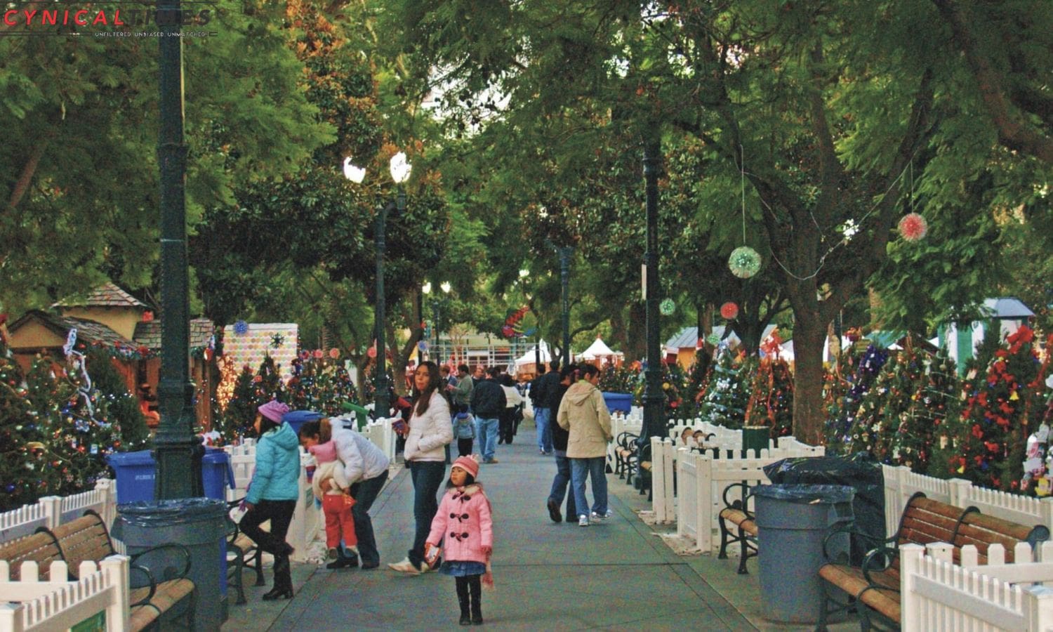 Silicon Valley Lights Up for Christmas (2)