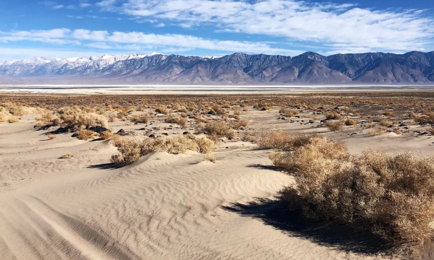 5 Bodies Unearthed in California Desert 