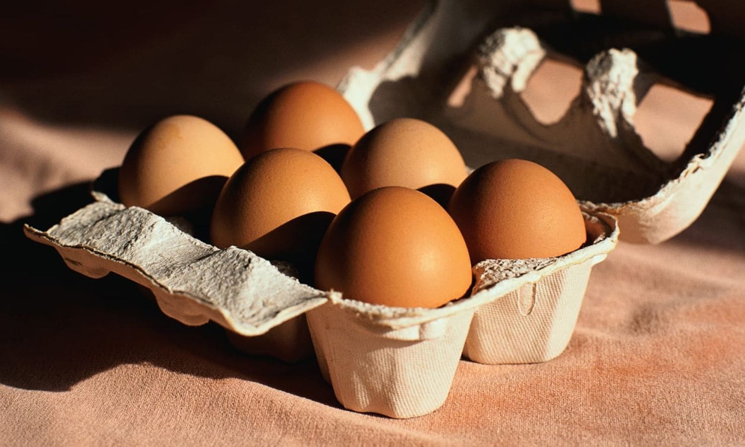 Avian Flu Creates Crisis in California Egg Basket