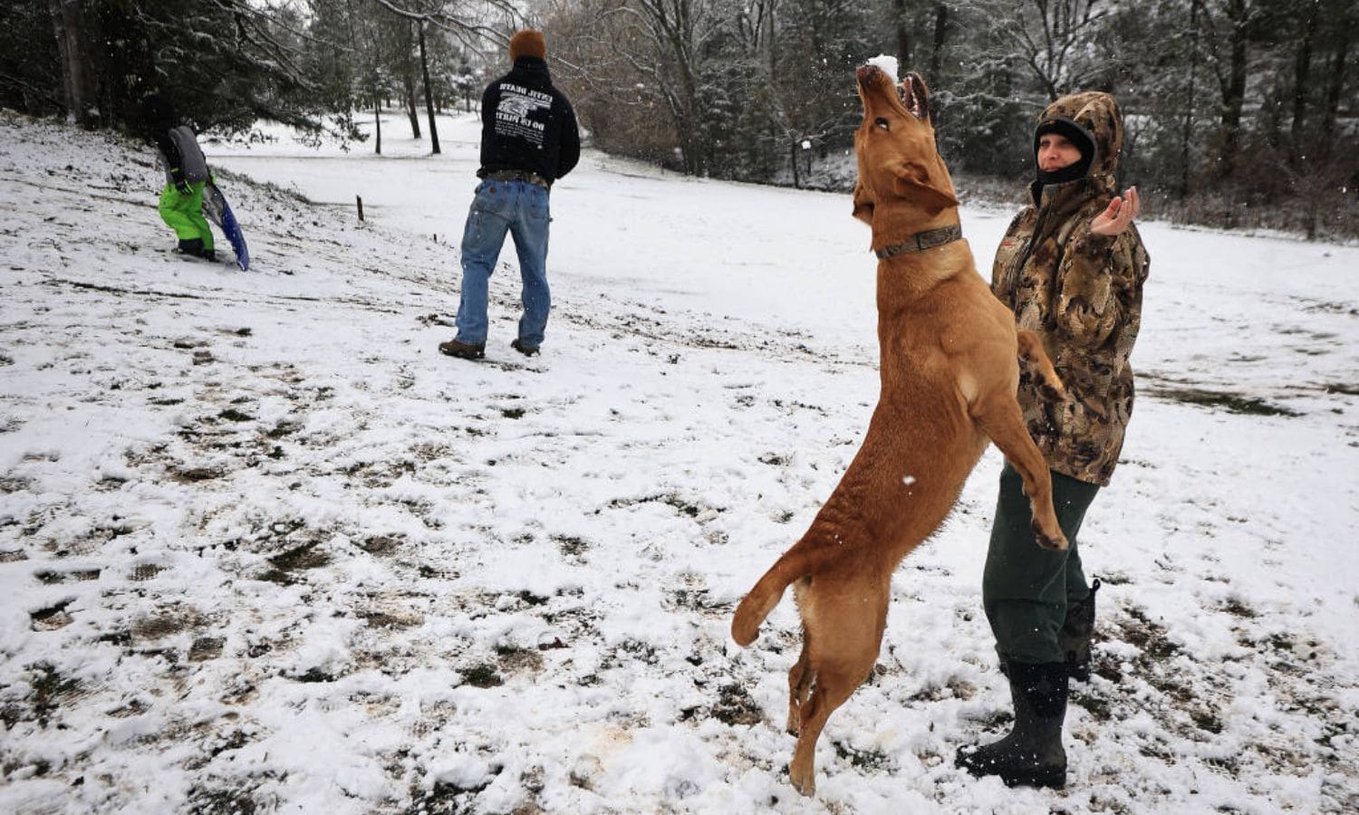 Bay Area Weather Alert