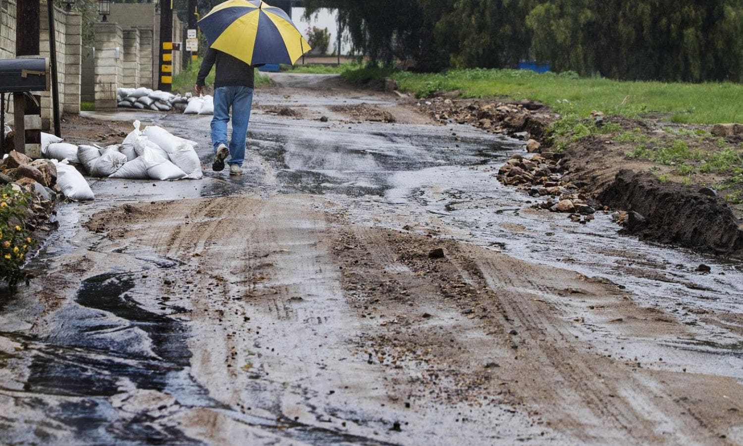 Bay Area Weather Update