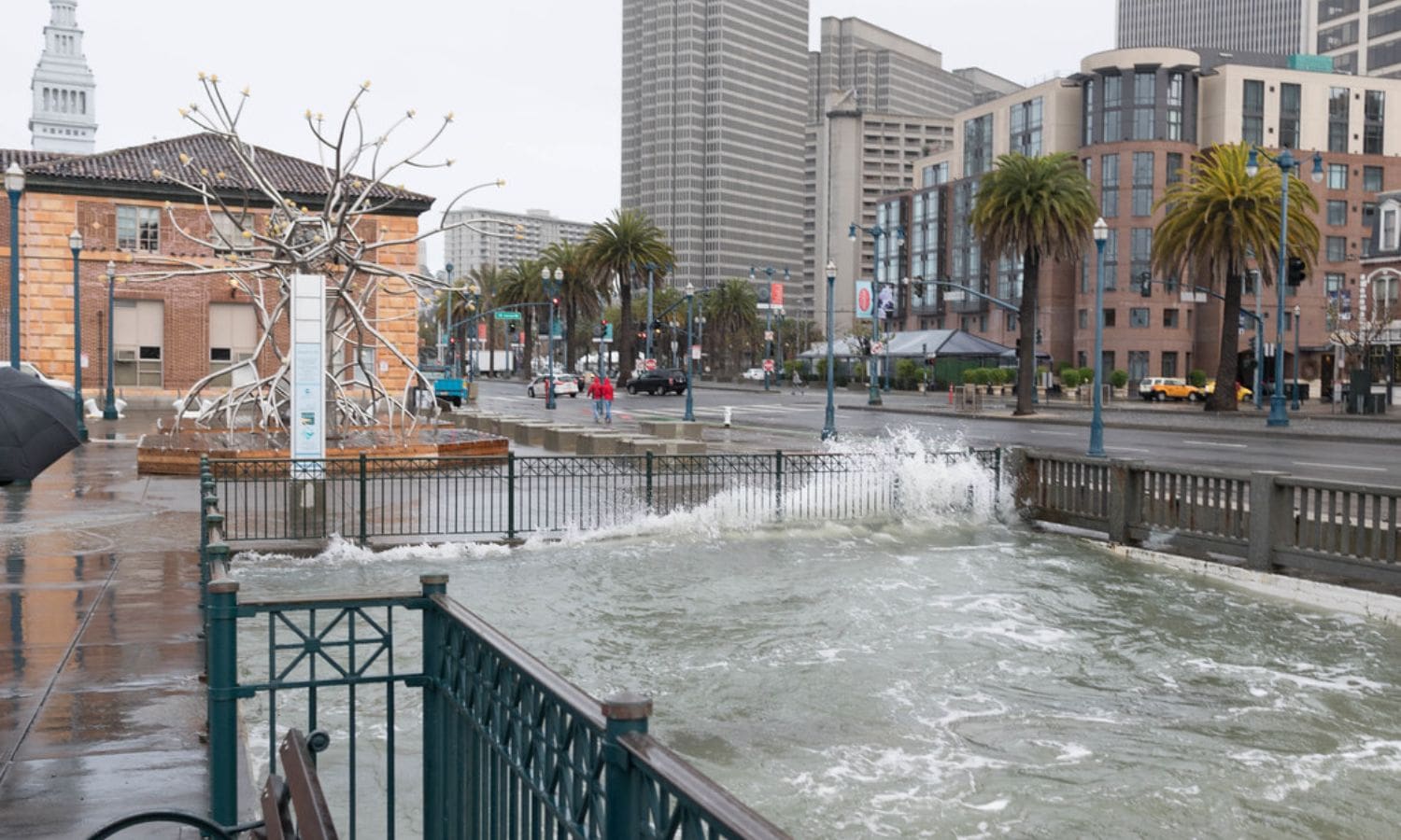 California King Tides Project