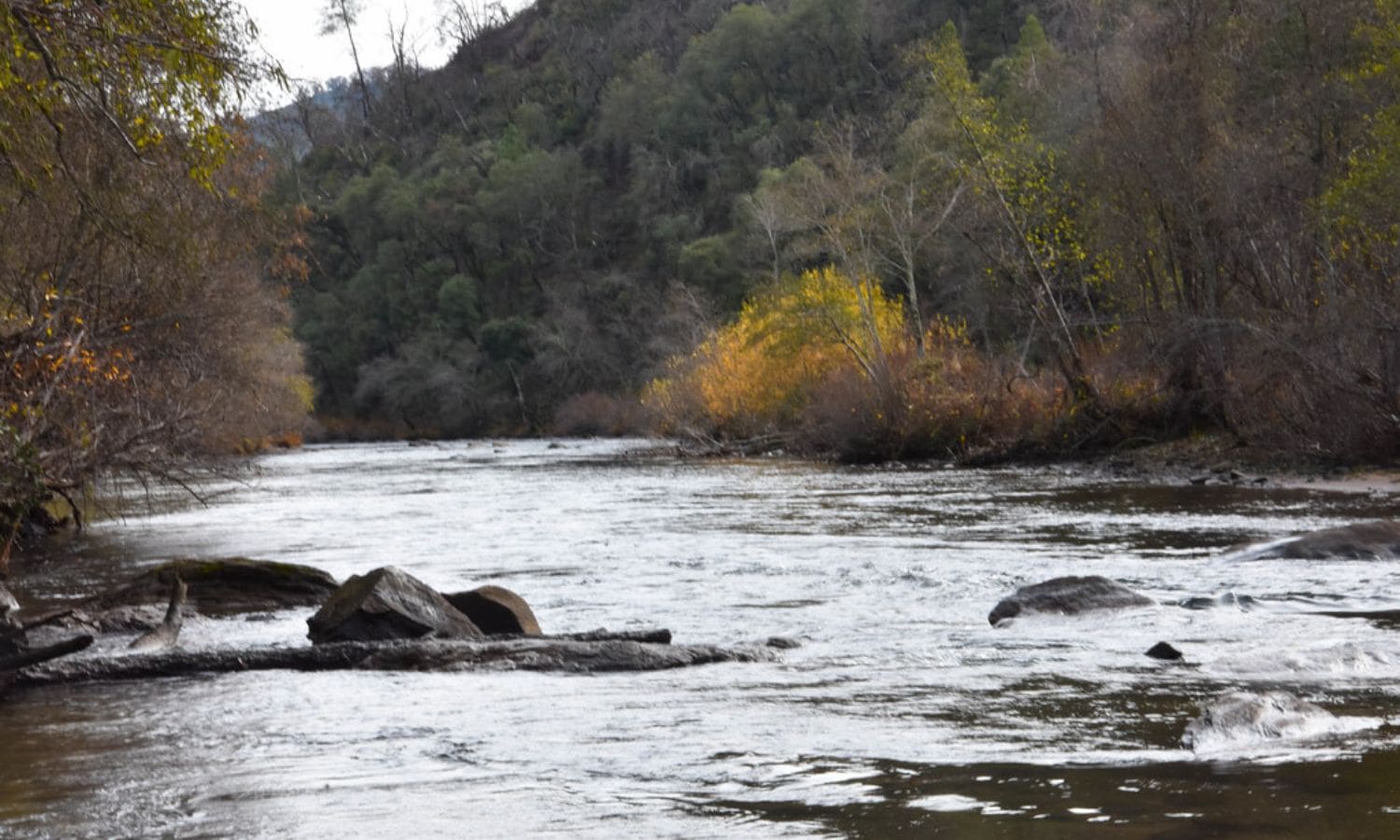 California River Not a Crime