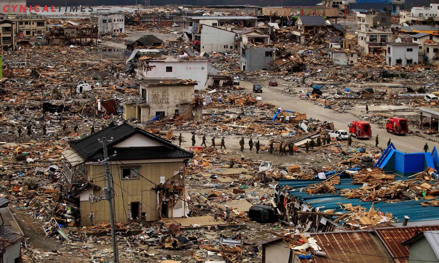 Japan Earthquake Resilience