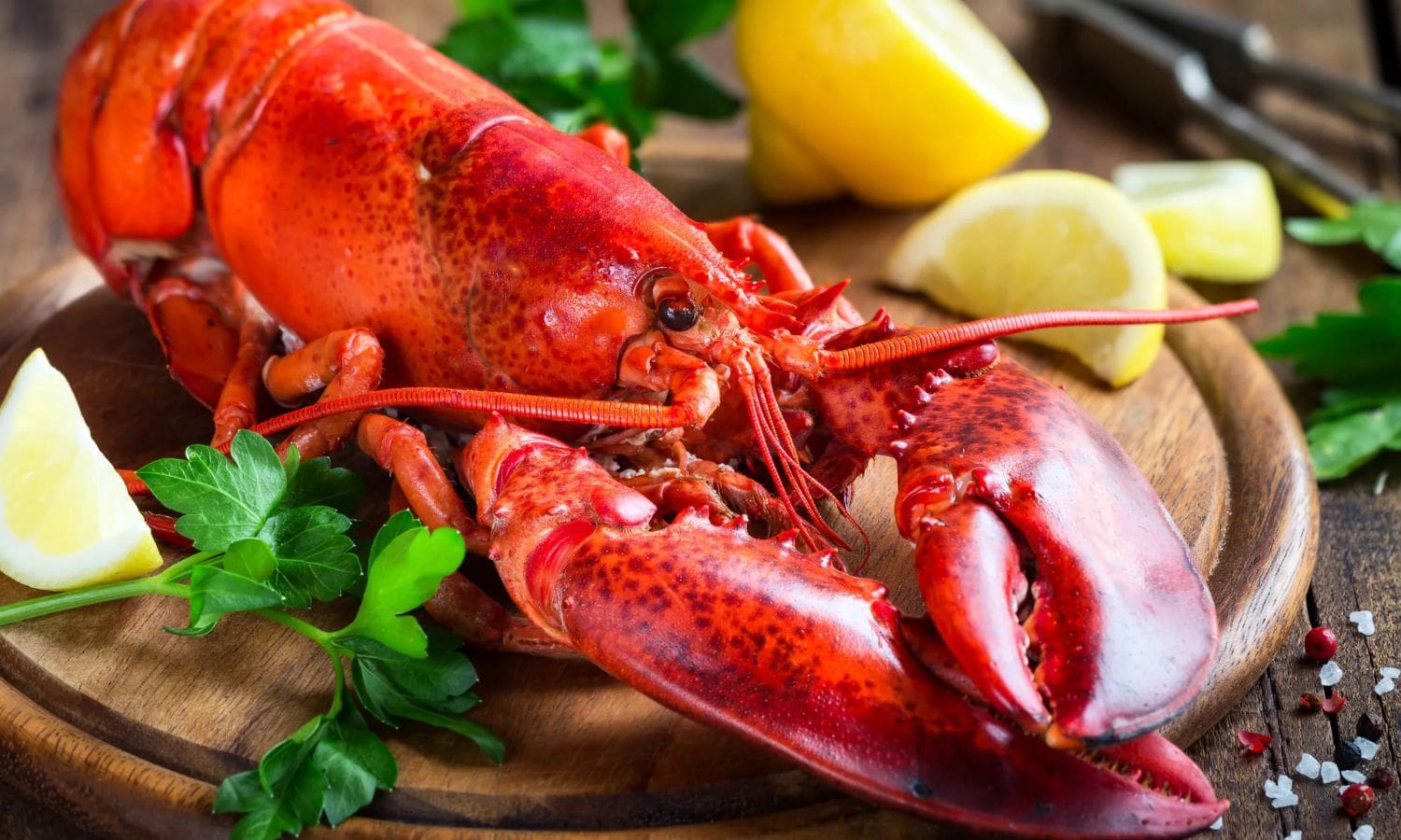 Massachusetts Lobstermen Withdraw Lawsuit