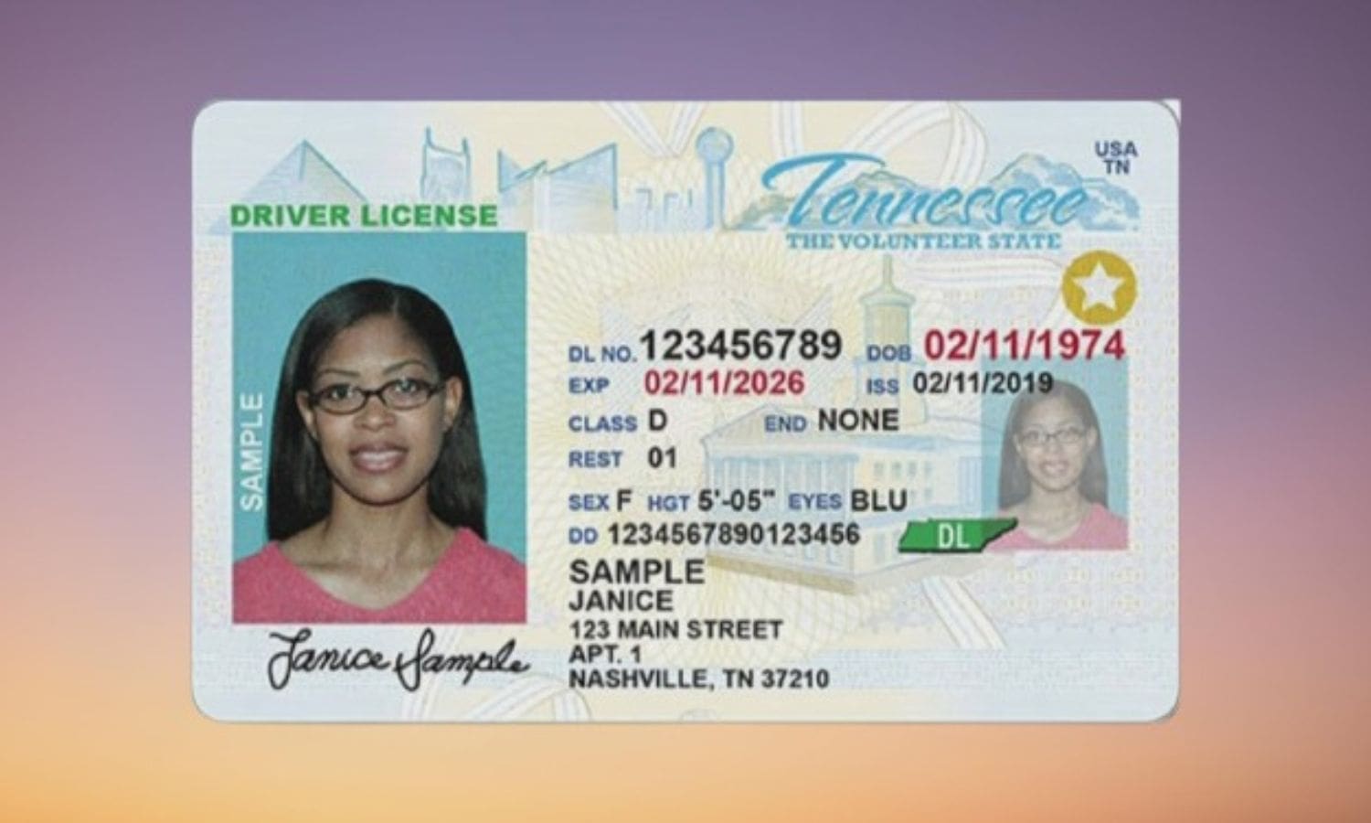 REAL ID for Undocumented Individuals