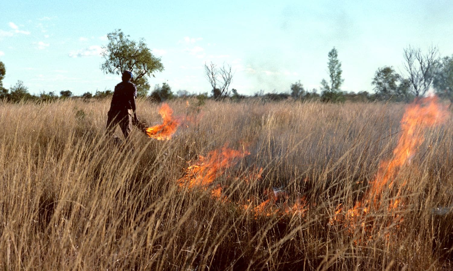 Sacramento Agricultural Disaster Pass Program