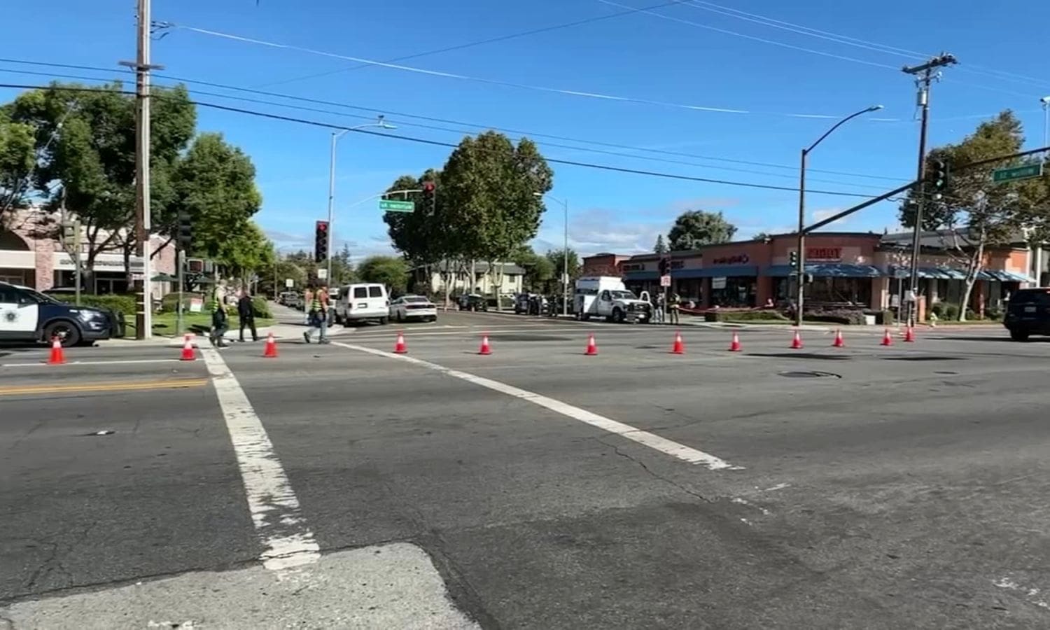 San Jose Records First Pedestrian