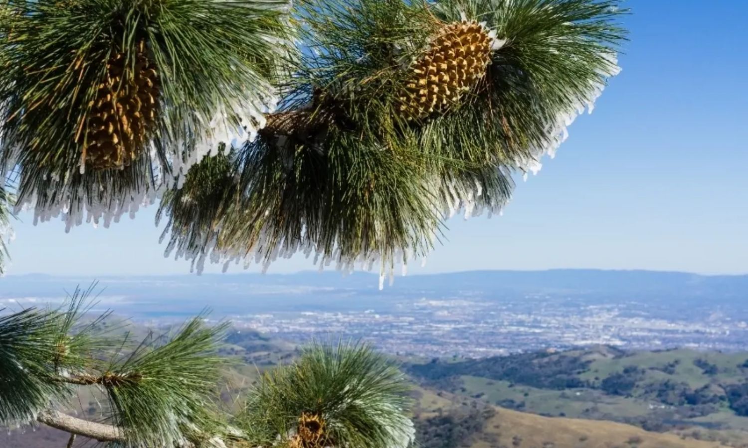 Santa Clara County Unveils Warming Centers