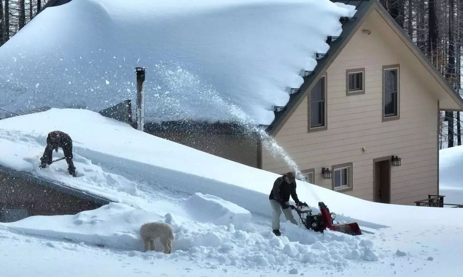 Sierra Snowfall Alert