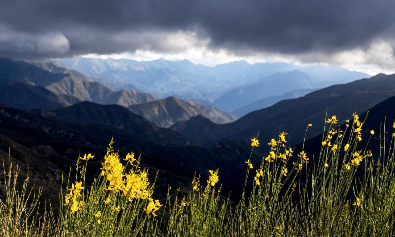 SoCal Braces for Blustery Wednesday