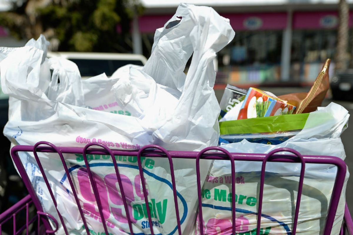California Dems Retry Plastic Bag Ban