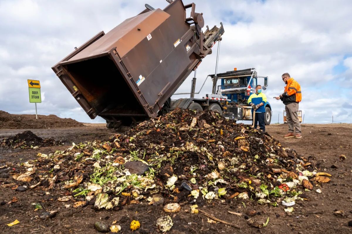 California Race to Recycle Push for Food Waste