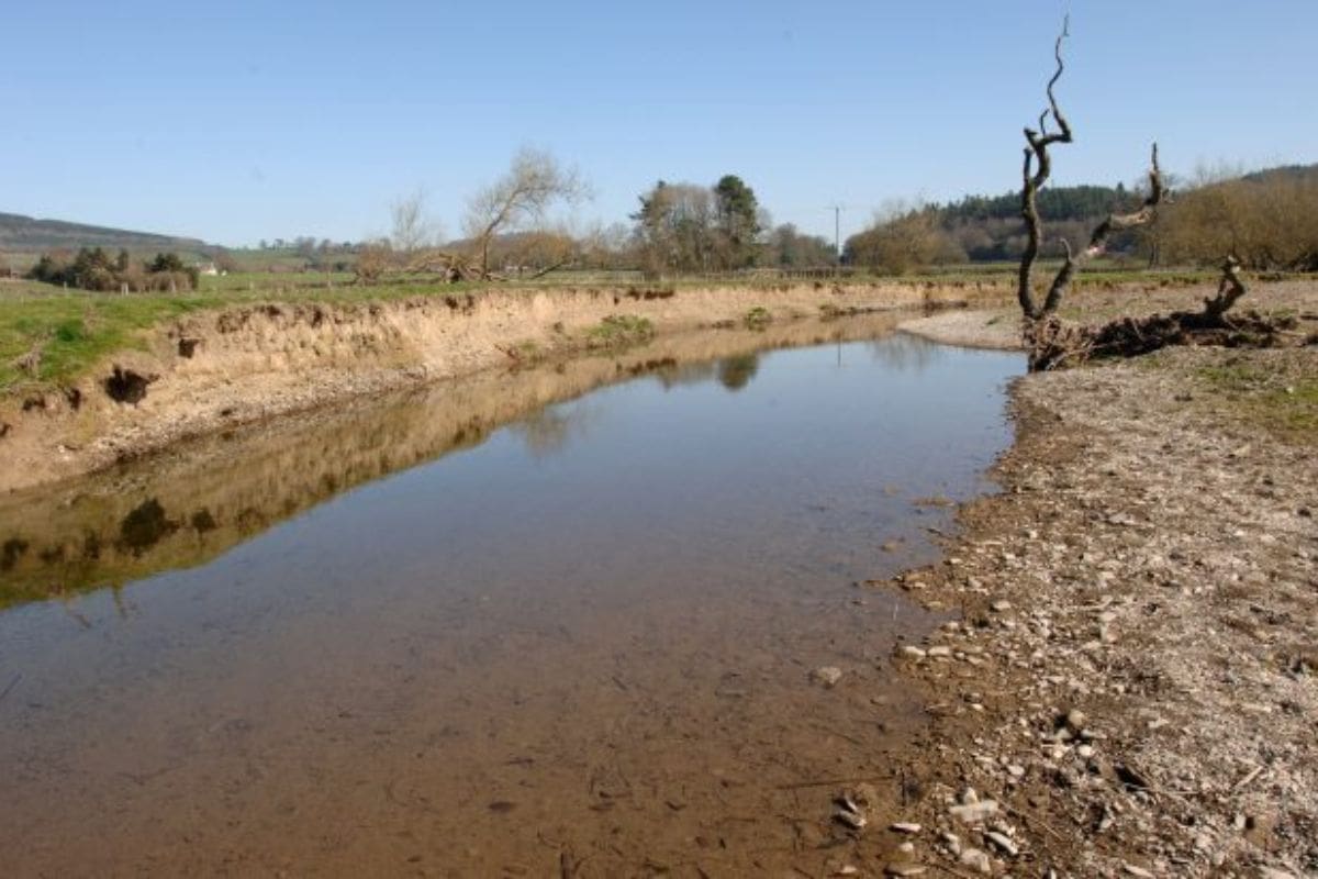 California Water Crisis