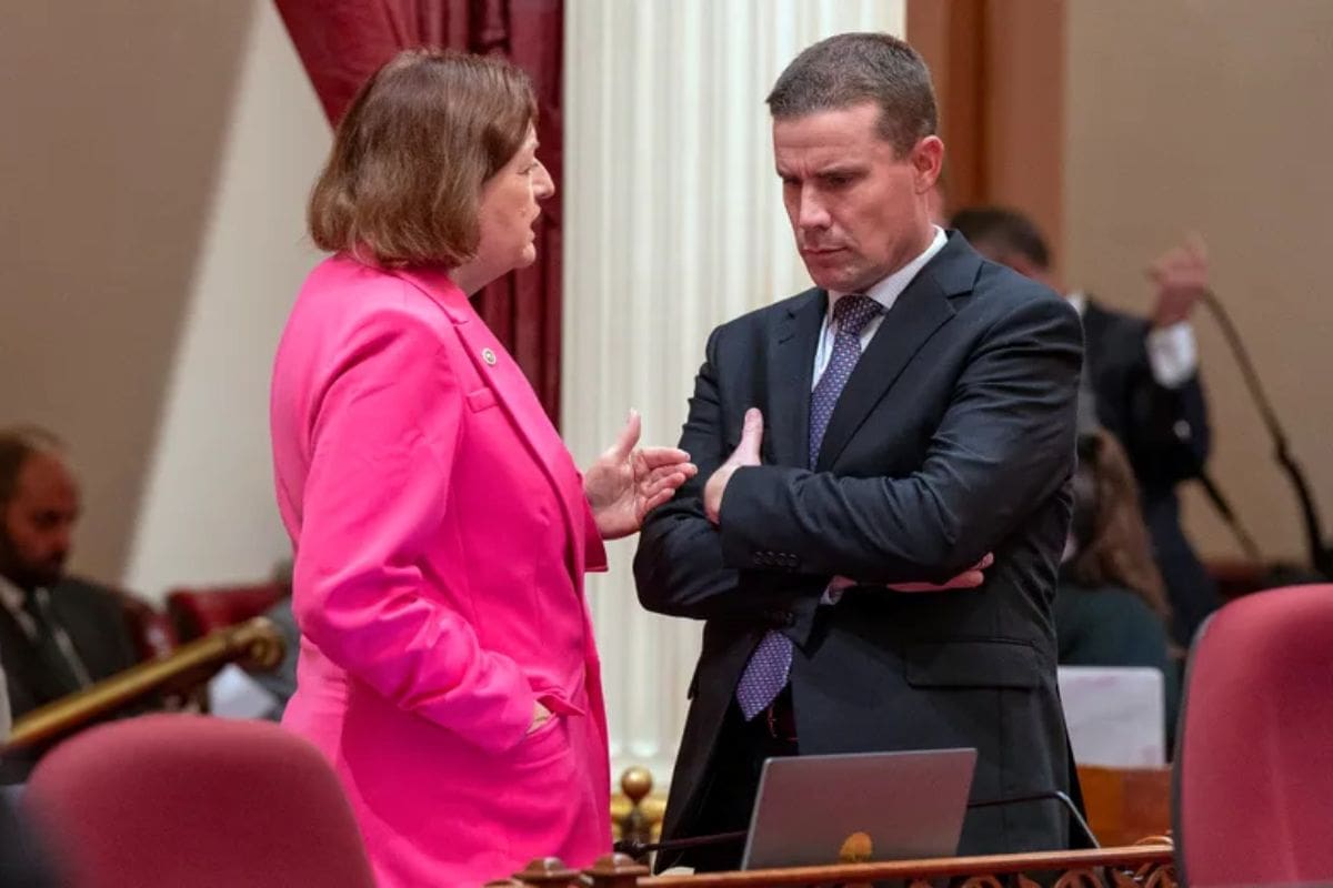 New California Senate Leader Priorities