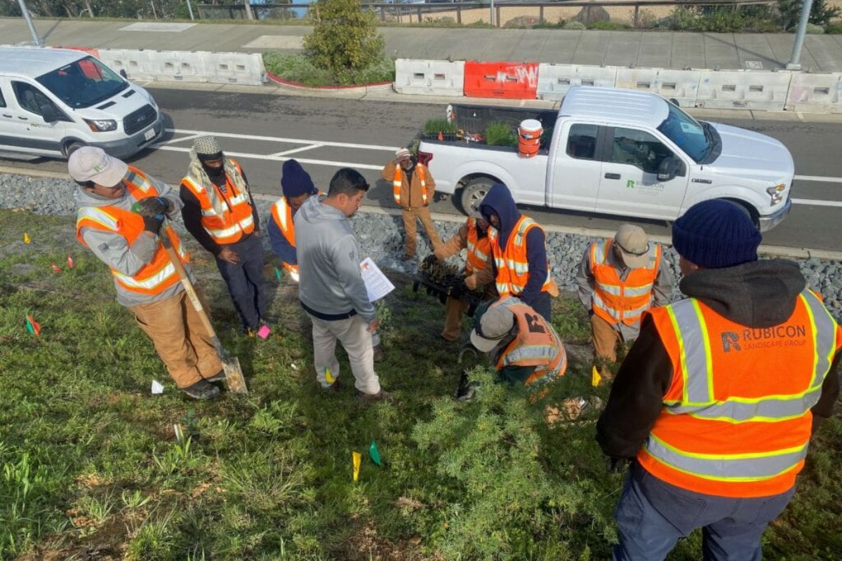 California Youth Job Corps