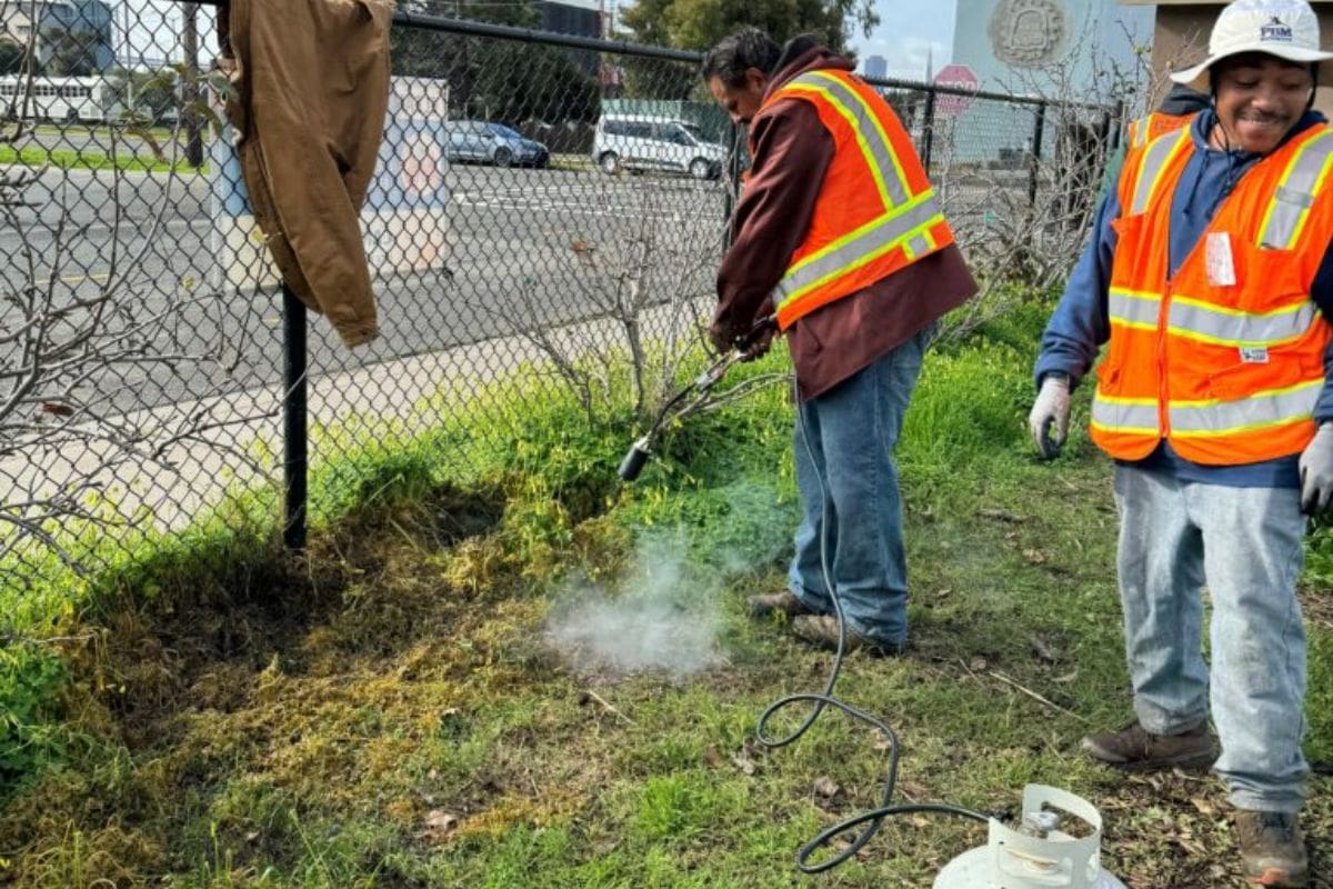 California's Youth Job Corps