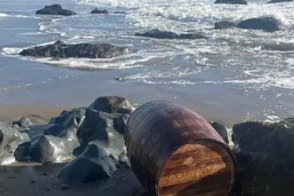 Mysterious Journey Barrels Wash Up