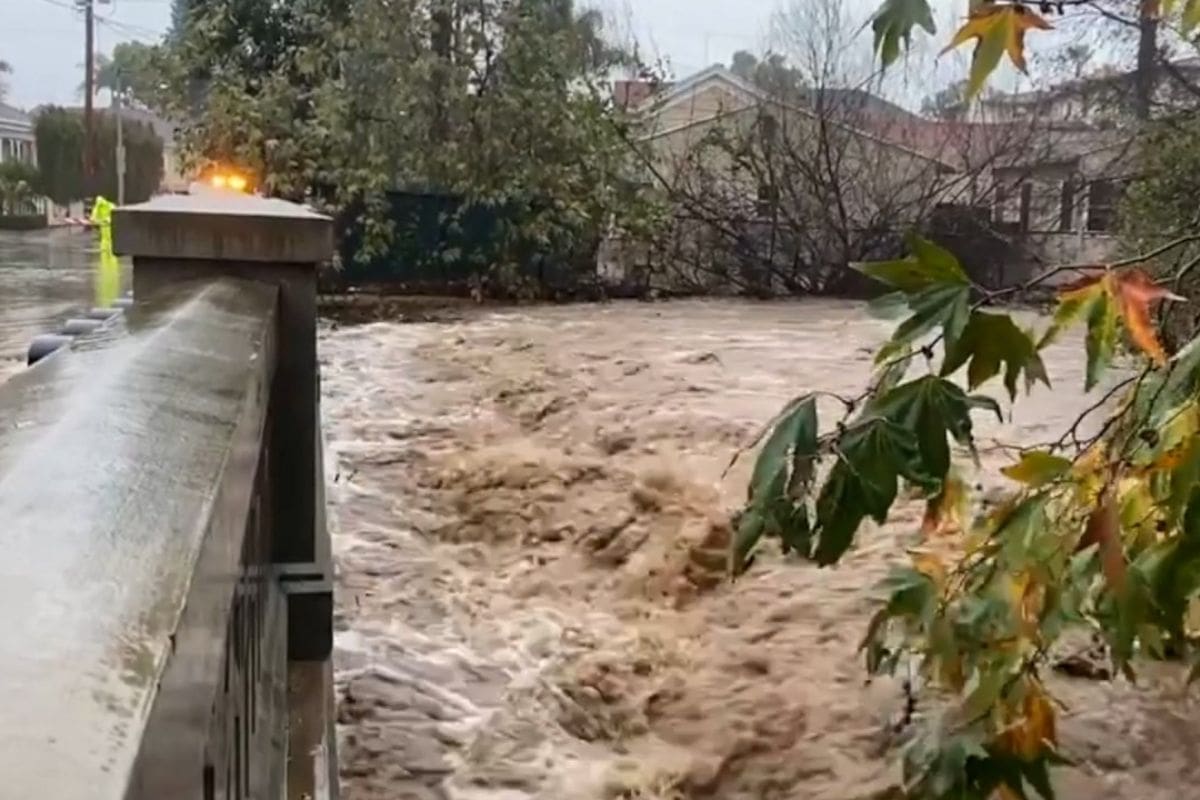 California Homeowner Terrified