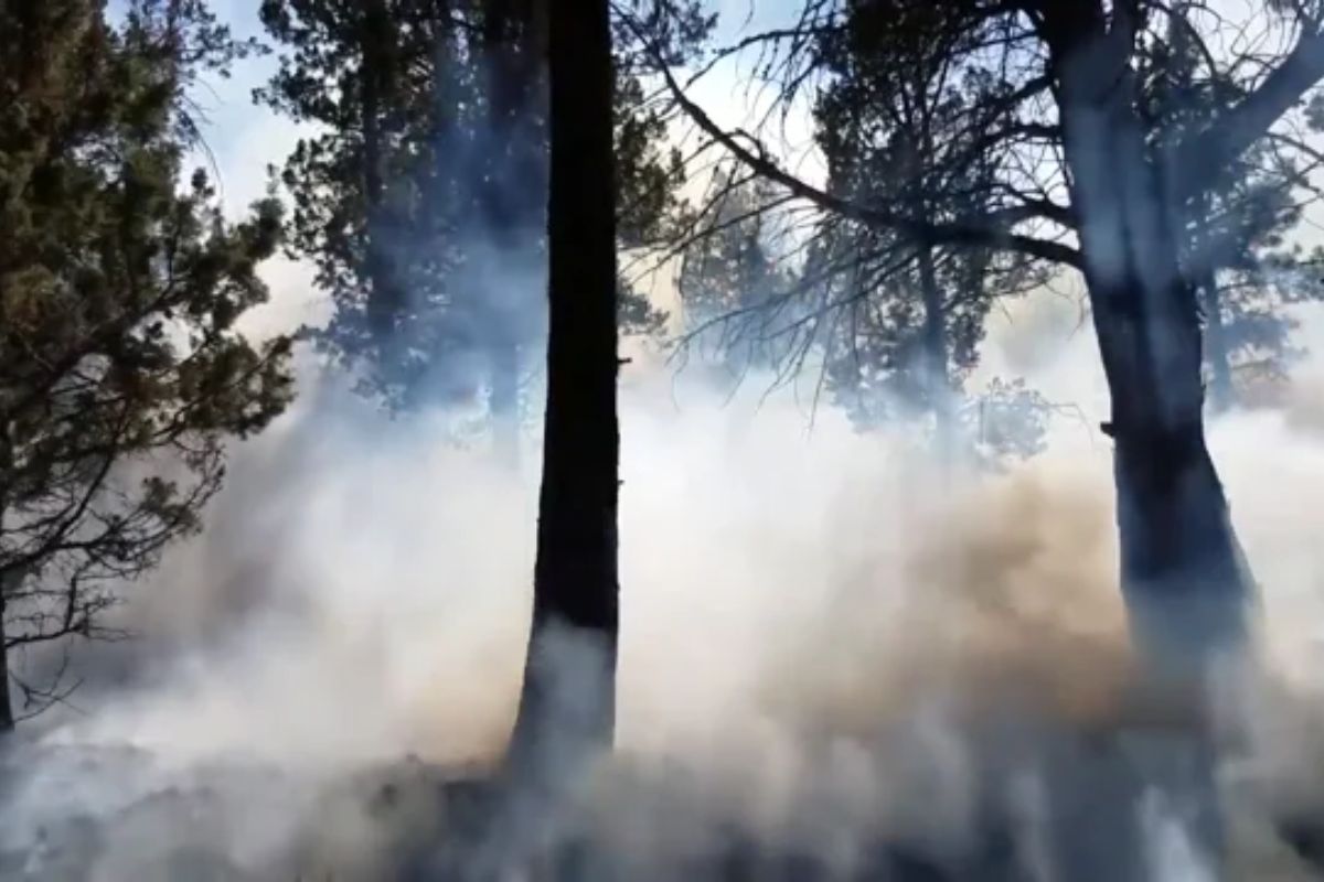 Wildfire Smoke Crisis Hits California