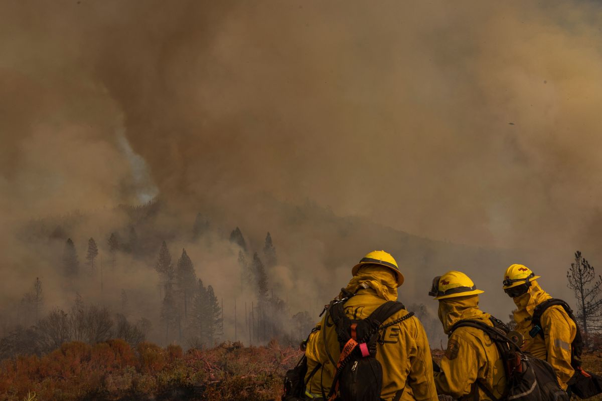 Wildfire Smoke Crisis Hits California