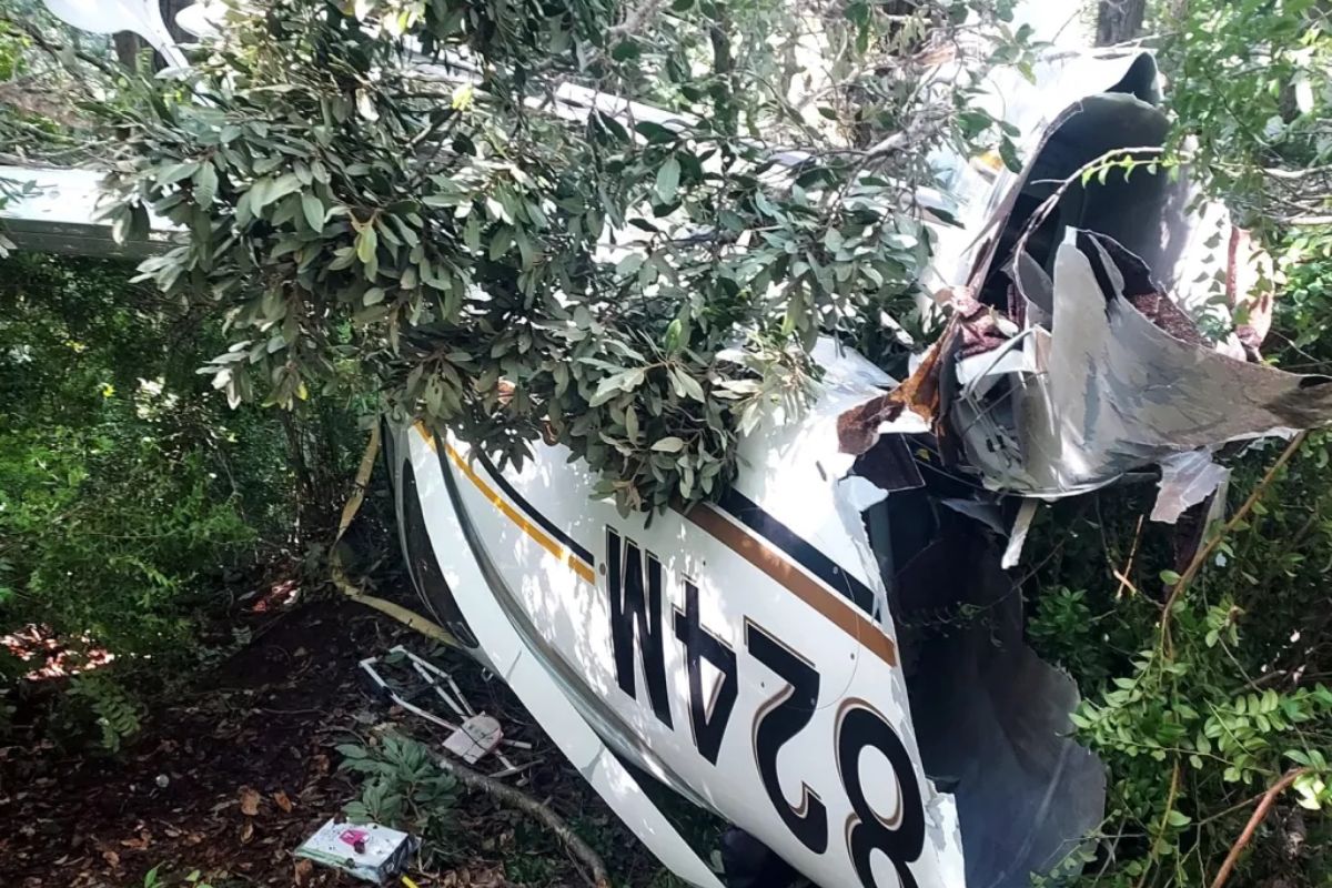 Family Survives Small Plane Crash