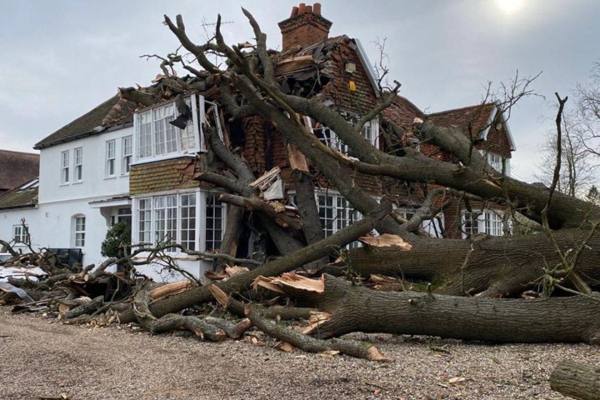 Devastating Winds Wreak Havoc