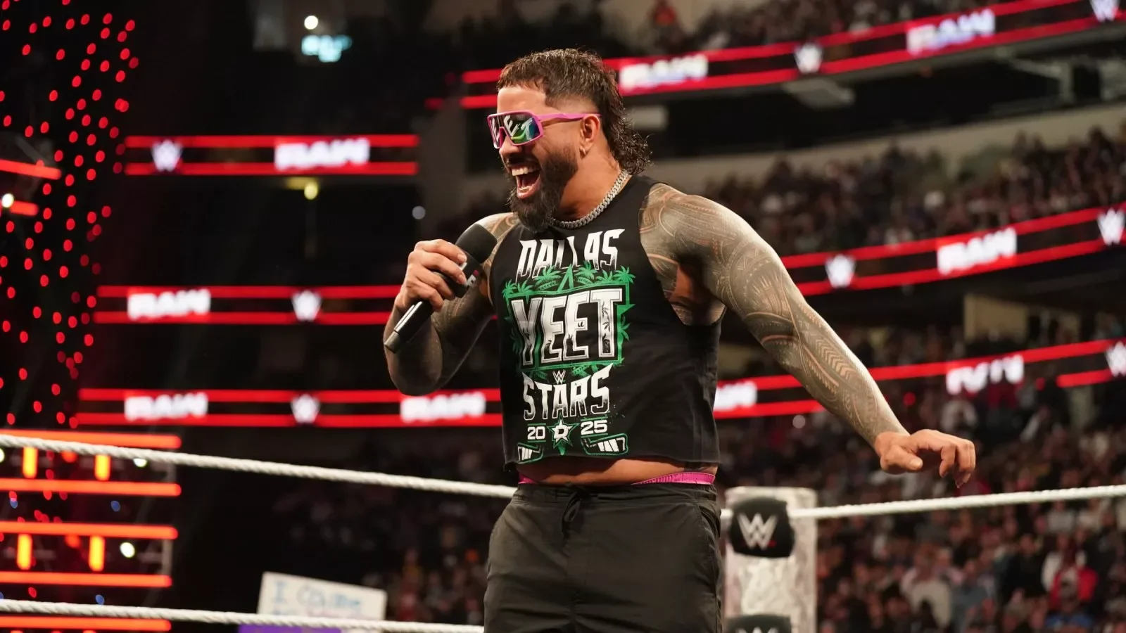 Donald Trump vs Elon Musk celebrity wrestling match at WWE SummerSlam 2025