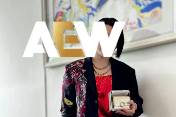 Hikaru Shida visa update and AEW return