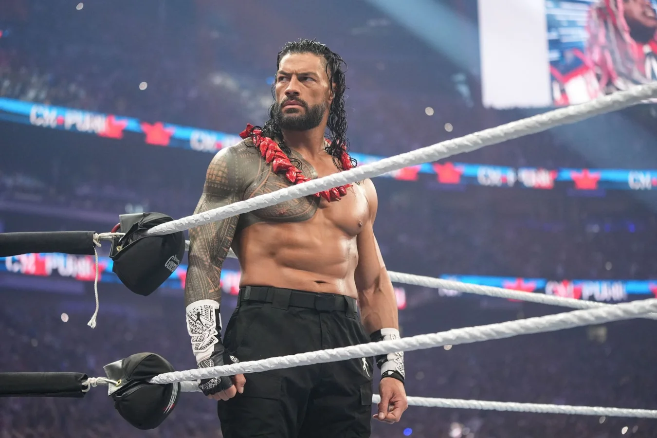 Roman Reigns return and special attraction status in WWE